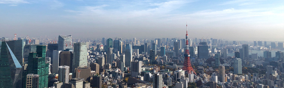 【さいたま市】相続税対策で不動産を活用するメリット・デメリットと活用事例